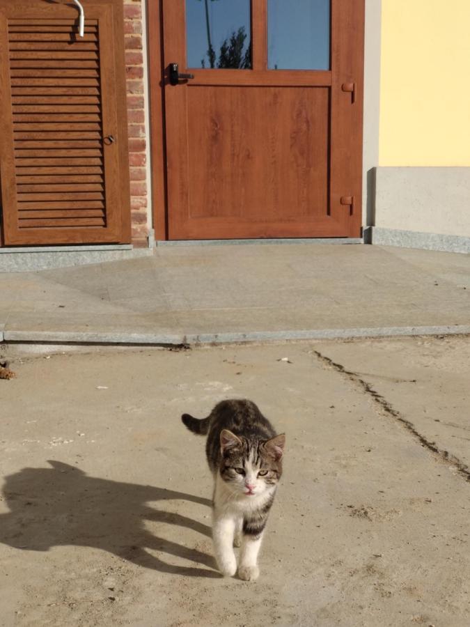 Cascina Pontetto Ξενοδοχείο Άστι Εξωτερικό φωτογραφία